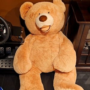 Big teddy bear